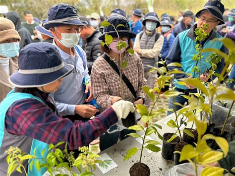 雜樹|臺灣原生樹木推廣及媒合平臺